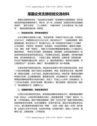 某国企党支部经验交流材料