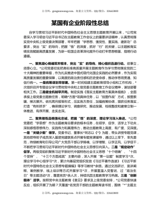 某国有企业阶段性总结