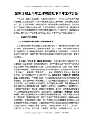 某审计局上半年工作总结及下半年工作计划