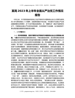 某局2023年上半年全面从严治党工作情况报告