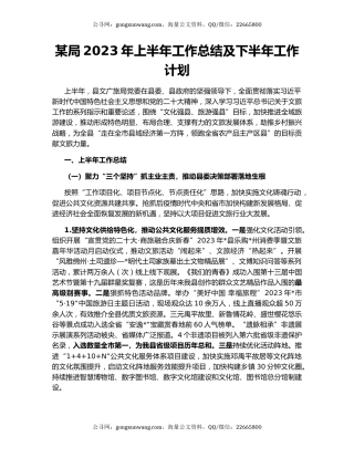 某局2023年上半年工作总结及下半年工作计划