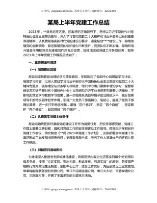 某局上半年党建工作总结