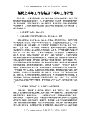某局上半年工作总结及下半年工作计划