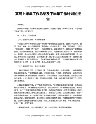 某局上半年工作总结及下半年工作计划的报告