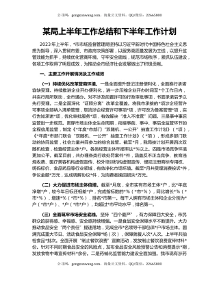 某局上半年工作总结和下半年工作计划