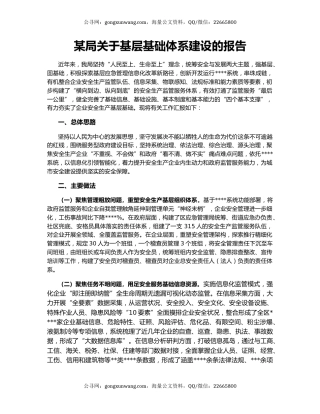 某局关于基层基础体系建设的报告