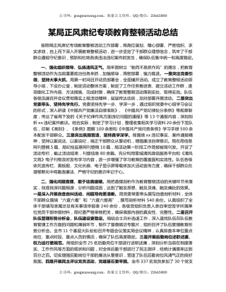 某局正风肃纪专项教育整顿活动总结