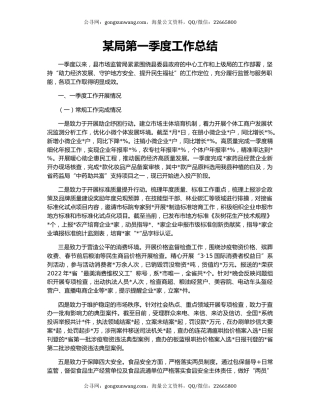 某局第一季度工作总结