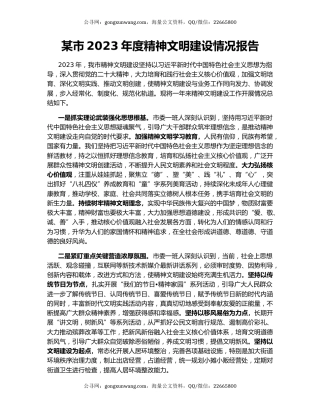 某市2023年度精神文明建设情况报告