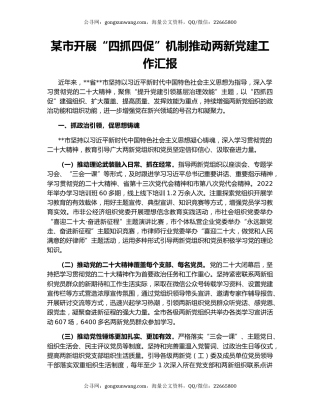 某市开展“四抓四促”机制推动两新党建工作汇报
