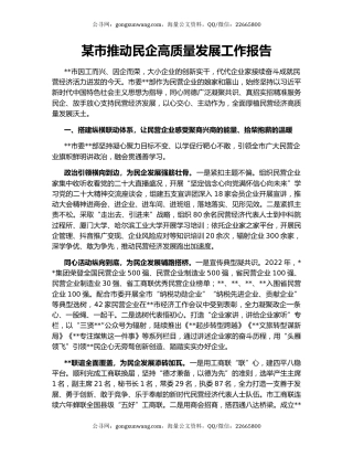 某市推动民企高质量发展工作报告