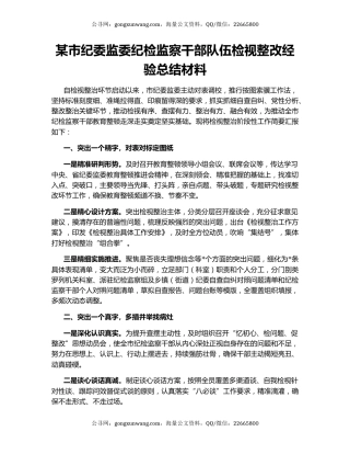 某市纪委监委纪检监察干部队伍检视整改经验总结材料