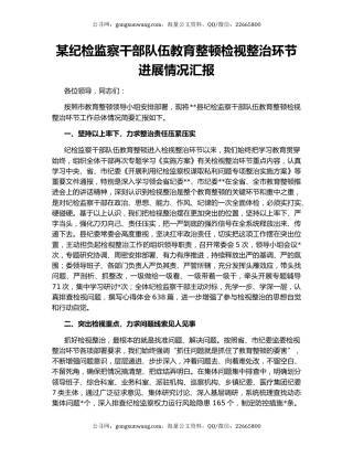 某纪检监察干部队伍教育整顿检视整治环节进展情况汇报
