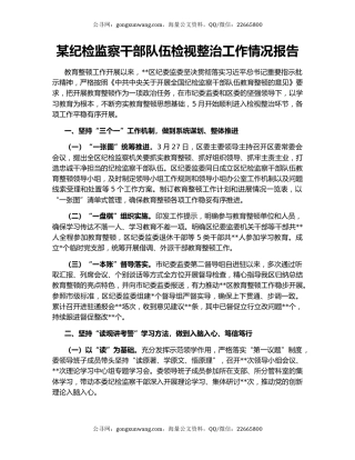 某纪检监察干部队伍检视整治工作情况报告