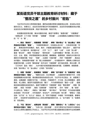 某街道党员干部主题教育研讨材料：藏于“整改之履”的乡村振兴“密匙”