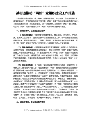 某街道推动“两新”党组织建设工作报告