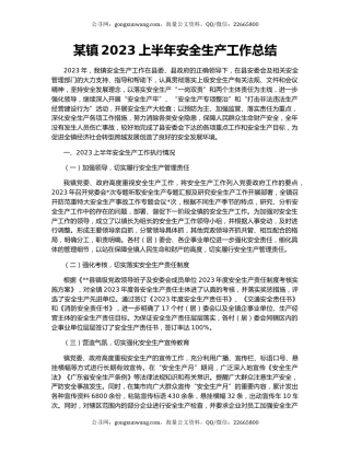 某镇2023上半年安全生产工作总结