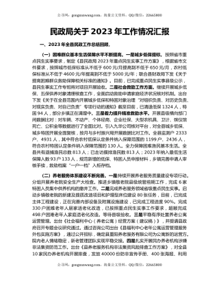 民政局关于2023年工作情况汇报