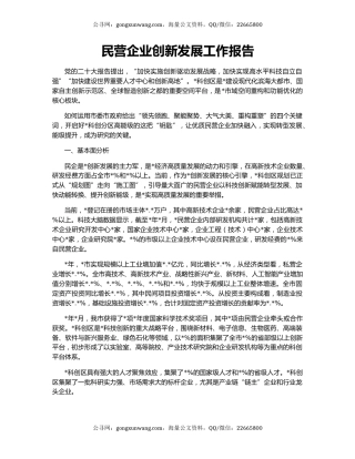 民营企业创新发展工作报告