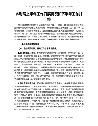 水利局上半年工作开展情况和下半年工作打算