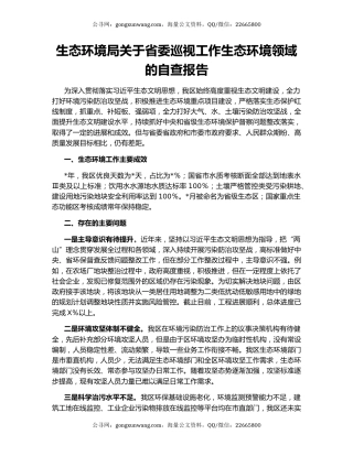 生态环境局关于省委巡视工作生态环境领域的自查报告