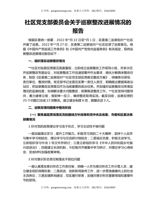 社区党支部委员会关于巡察整改进展情况的报告