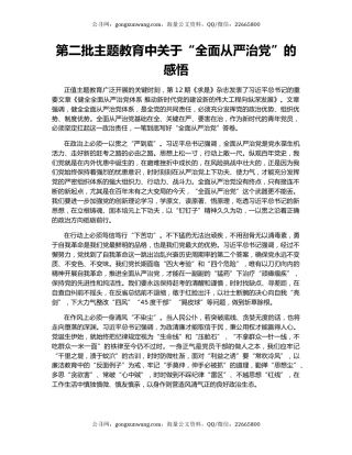 第二批主题教育中关于“全面从严治党”的感悟