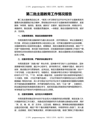第二批主题教育工作情况报告
