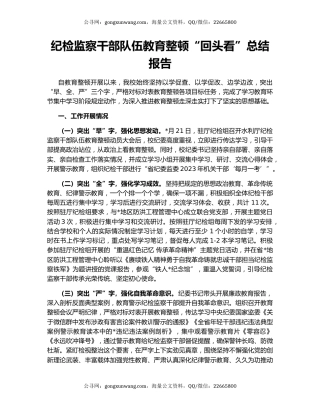 纪检监察干部队伍教育整顿“回头看”总结报告