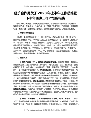 经济合作局关于2023年上半年工作总结暨下半年重点工作计划的报告