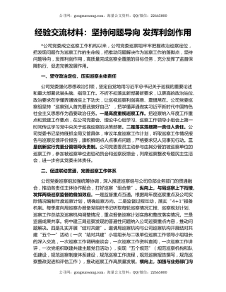 经验交流材料：坚持问题导向 发挥利剑作用