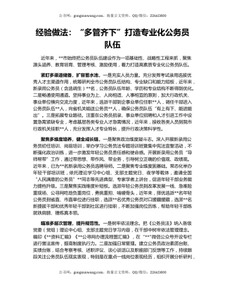 经验做法：“多管齐下”打造专业化公务员队伍