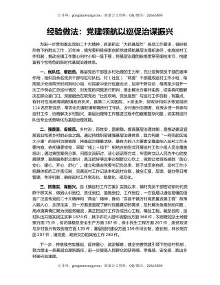 经验做法：党建领航以巡促治谋振兴