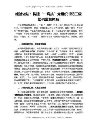 经验做法：构建“一肩挑”党组织书记三级协同监管体系
