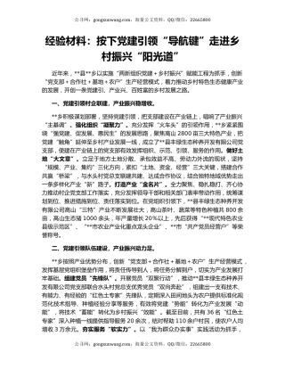 经验材料：按下党建引领“导航键”走进乡村振兴“阳光道”