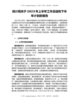 统计局关于2023年上半年工作总结和下半年计划的报告