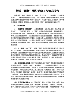 街道“两新”组织党建工作情况报告