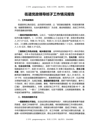 街道党政领导班子工作情况报告