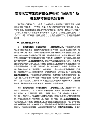 贯彻落实市生态环境保护督察“回头看”反馈意见整改情况的报告