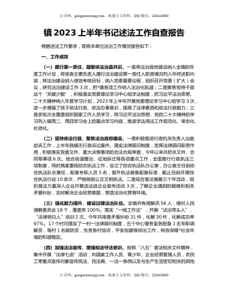 镇2023上半年书记述法工作自查报告