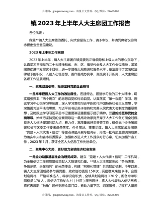 镇2023年上半年人大主席团工作报告