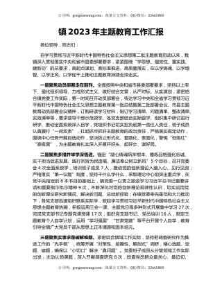 镇2023年主题教育工作汇报