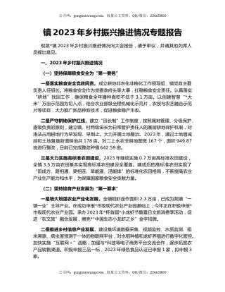 镇2023年乡村振兴推进情况专题报告