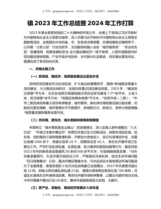 镇2023年工作总结暨2024年工作打算