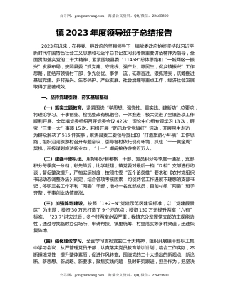 镇2023年度领导班子总结报告