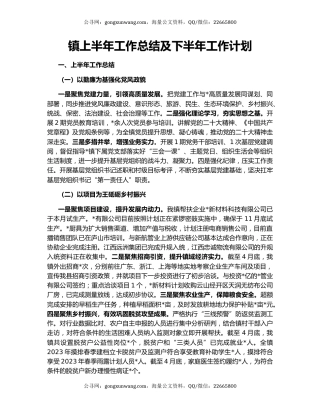 镇上半年工作总结及下半年工作计划