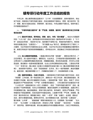 镇专项行动年度工作总结的报告