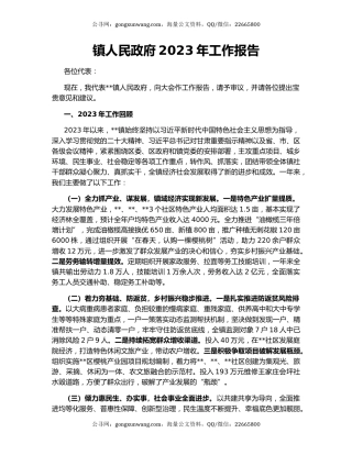 镇人民政府2023年工作报告