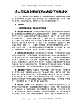 镇人民政府上半年工作总结及下半年计划