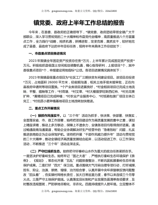 镇党委、政府上半年工作总结的报告